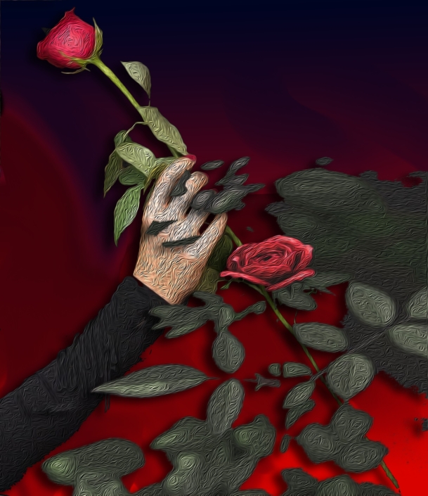 Della rosa in dono vediamo solo le spine